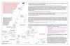 coo0e33 1767 west newf 1_thumb.gif